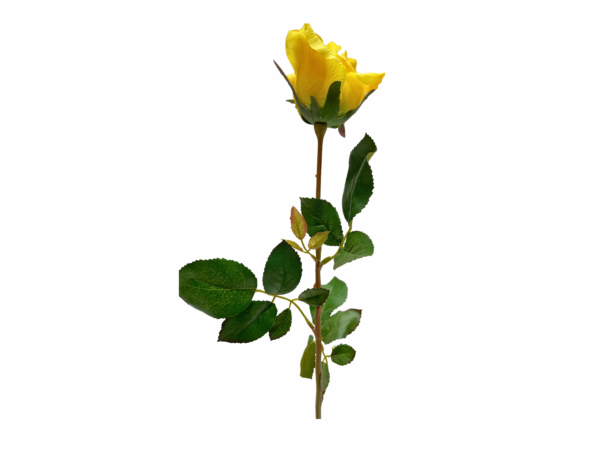 FW1509/ROSE BUD SPRAY SUN GOLD