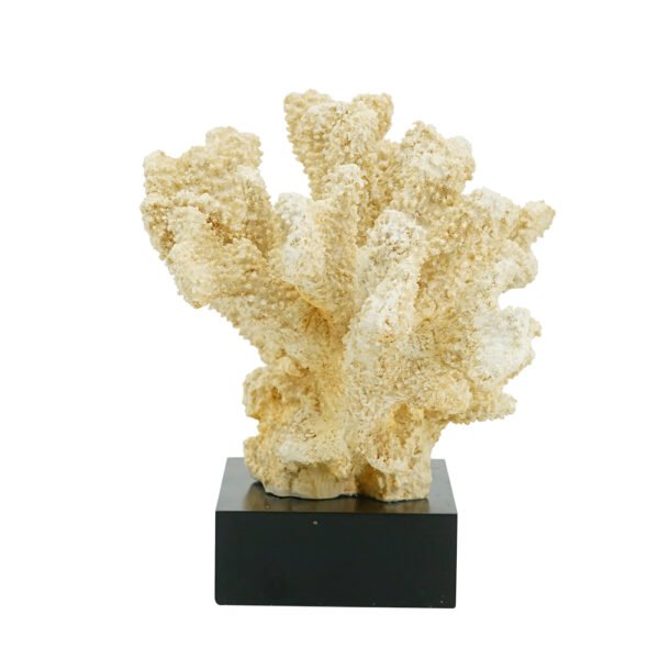SL1090 - Image 6