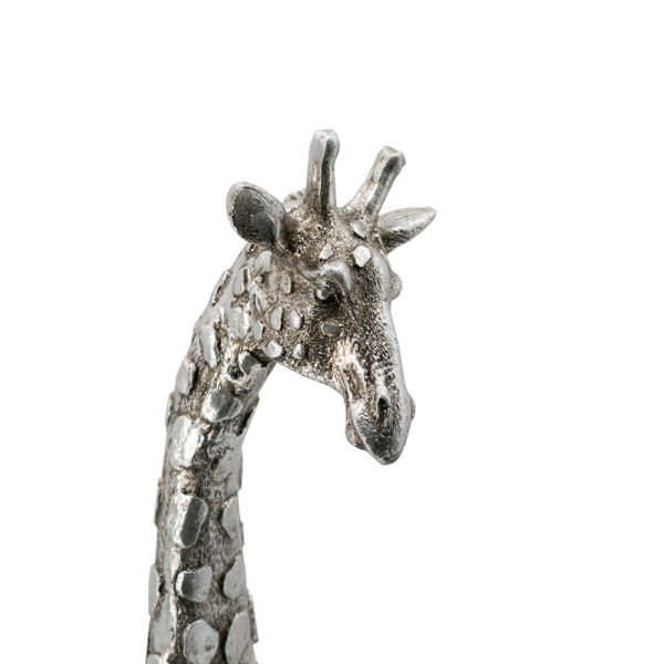 FG1113 - Image 5