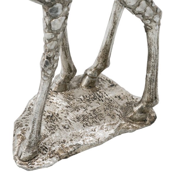 FG1113 - Image 6