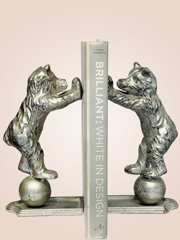 BE1006/BEAR - Image 2