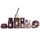 DF1006/SANTIAGO HUCKLEBERRY HOME AMBIENCE DIFFUSER