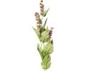 FW1513/REVINA BLOSSOM 60CM