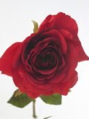 FW1542/Country Rose Spray 70CM