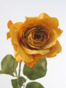 FW1542/Country Rose Spray 70CM
