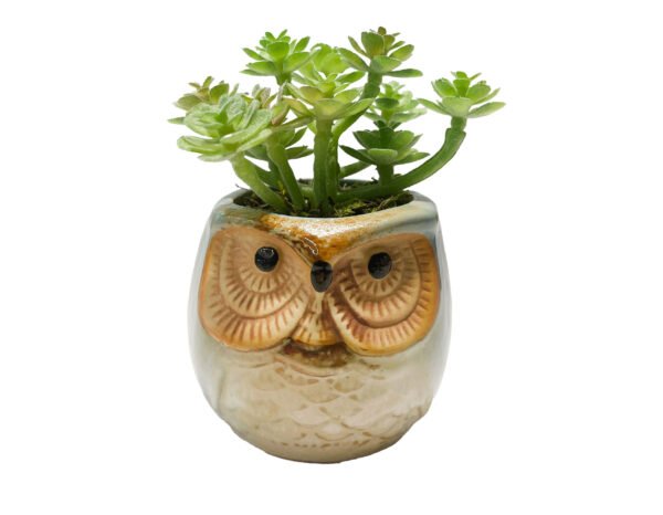 FW1553/MINI SUCCULENTS IN OWL PLANTER