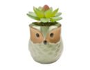 FW1553/MINI SUCCULENTS IN OWL PLANTER