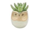 FW1553/MINI SUCCULENTS IN OWL PLANTER