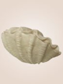 TL1040/SHELL SANDSTONE TABLE LAMP