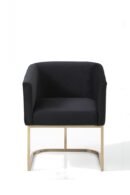 DC1041/DAWSON Modern Dining Chair