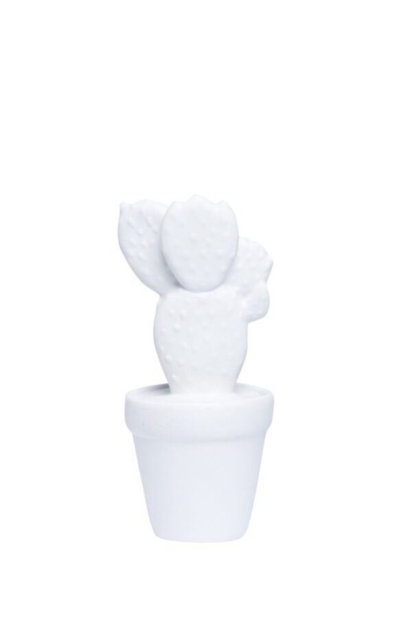 FG1070/Sonoran Cacti in White Assorted DIMENSIONS (CM): 22 x 13 x 12 - Image 3