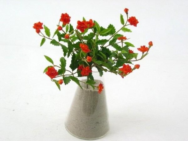 FW1231/diamond rose bush